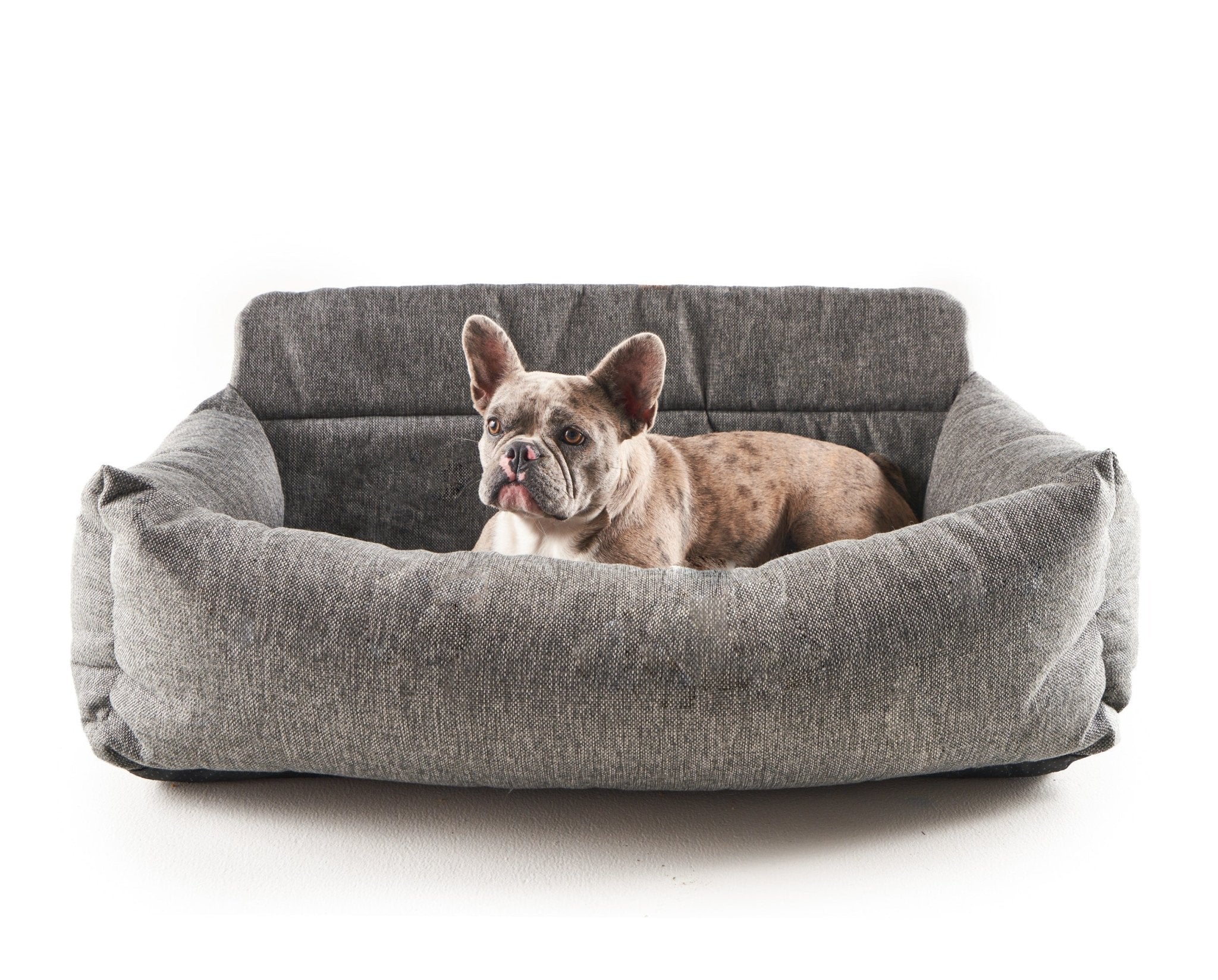 PupProtector™ Memory Foam Dog Car Bed、mySite、solidvoid