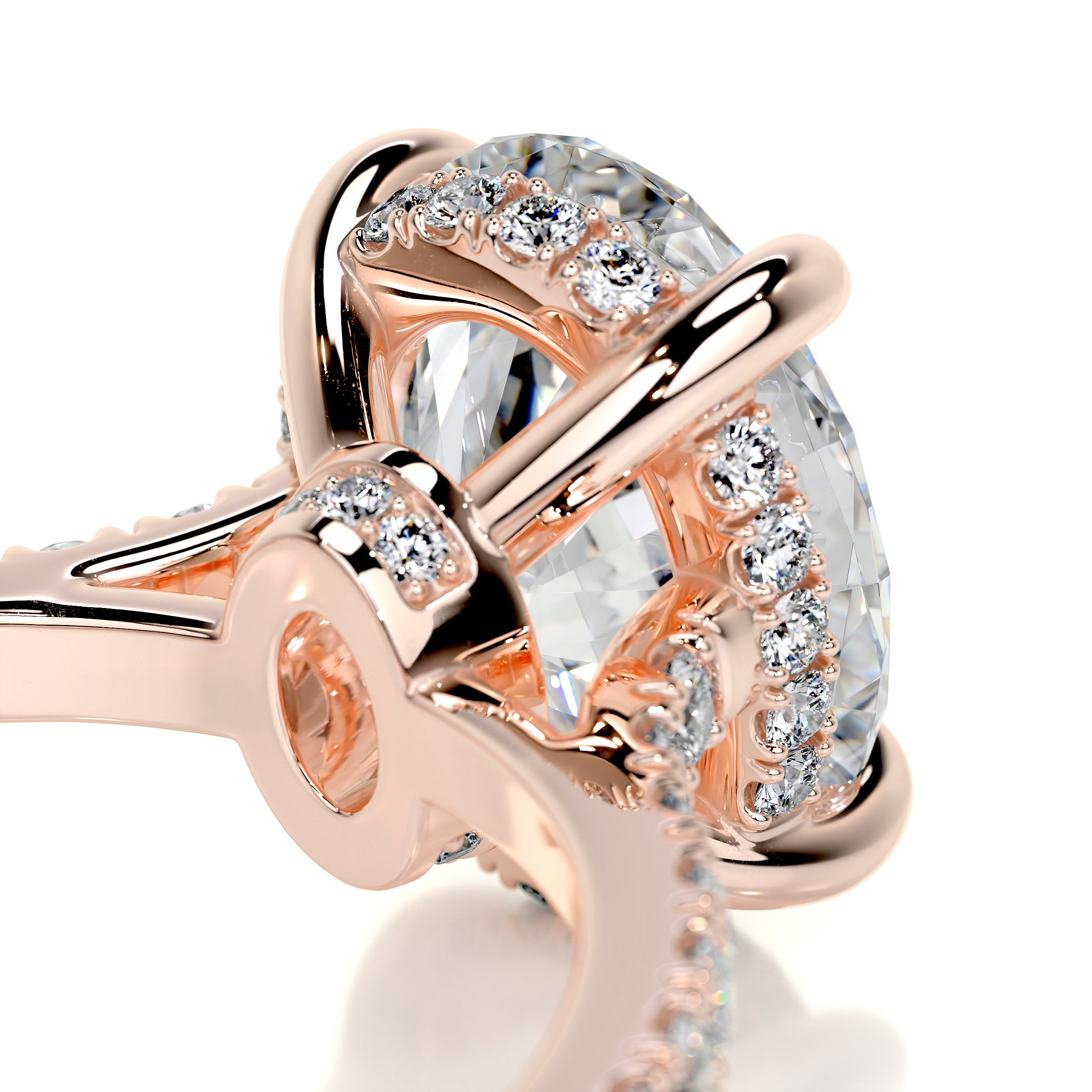 Dionne Moissanite & Diamond Ring -14K Rose Gold、mySite、hinf8tx79
