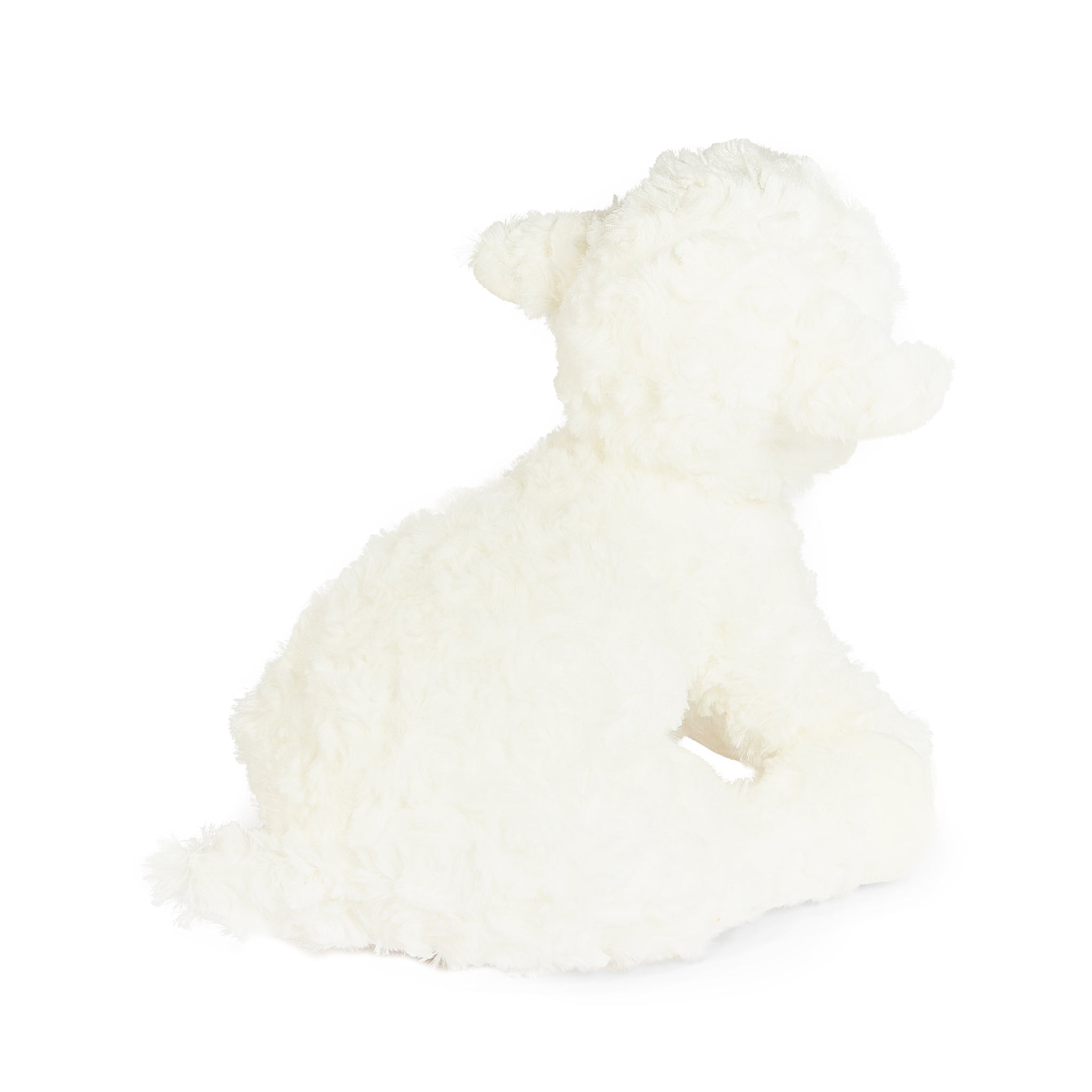 Kiddo the Lamb、mySite、g9winljtr