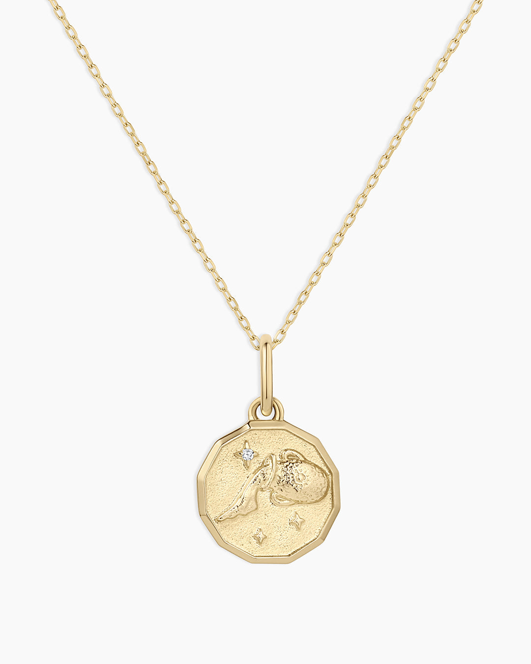 Diamond Zodiac Coin Charm Necklace、mySite、hinf8tx79