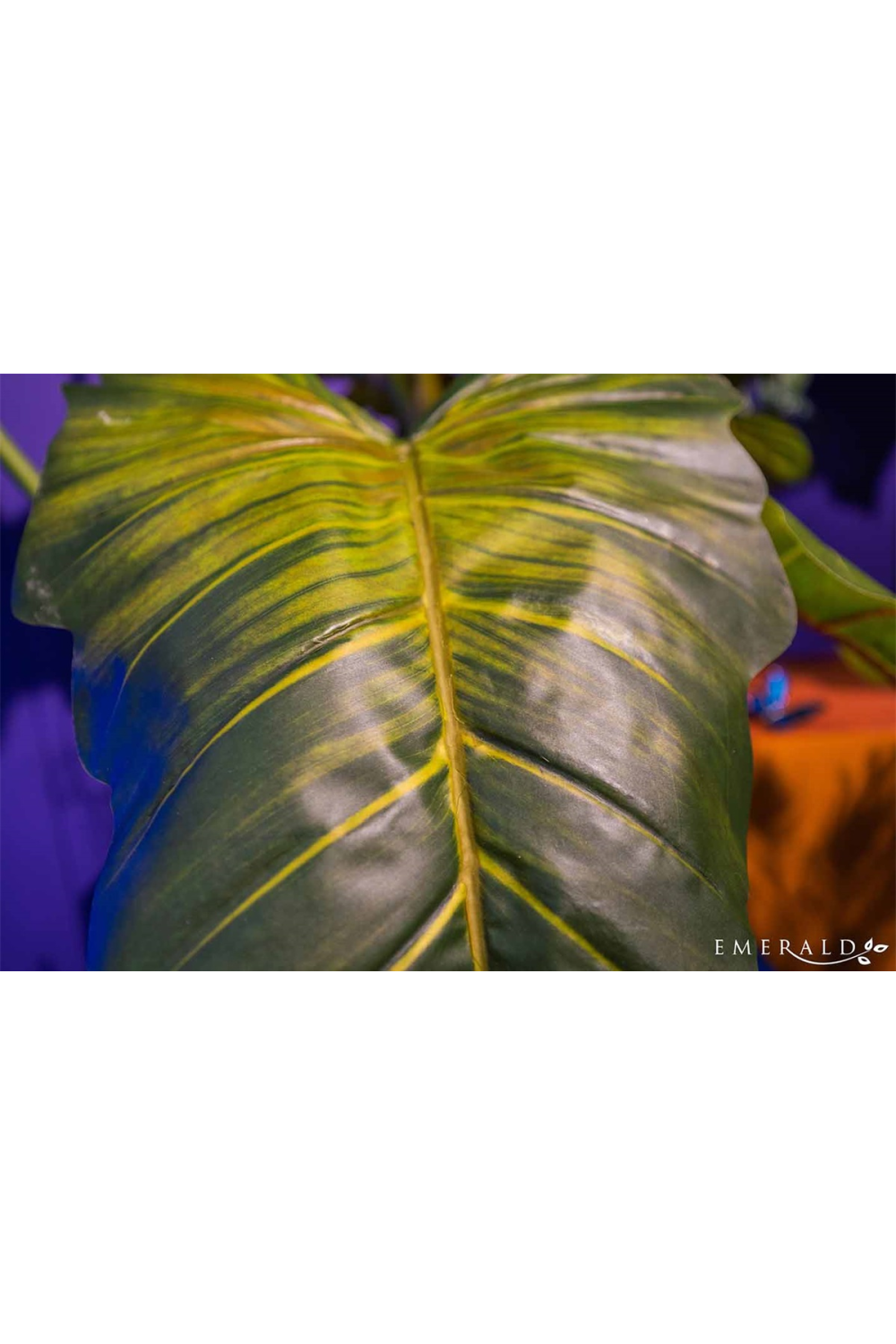Artificial Elephant Ears Plant Set (2) | Emerald Colocasia On Trunk、mySite、neckold