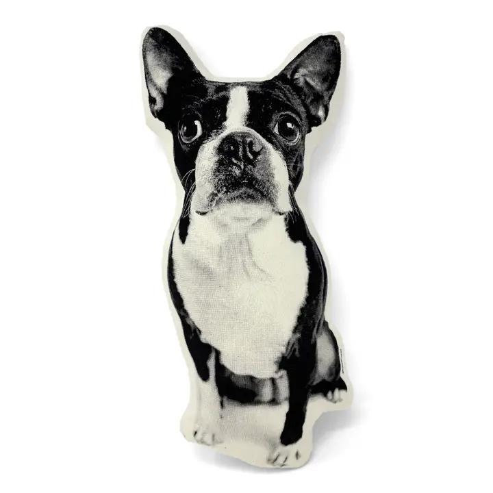 Boston Terrier Pillow、mySite、g9winljtr