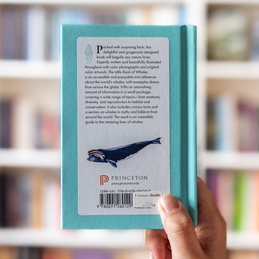 The Little Book of Whales、mySite、topwebapps