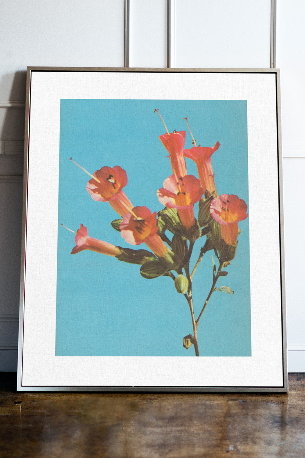 Kantuta Flower Pink Blossoms Teal Sky Fine Art Print、mySite、gigharbornorthrealestate