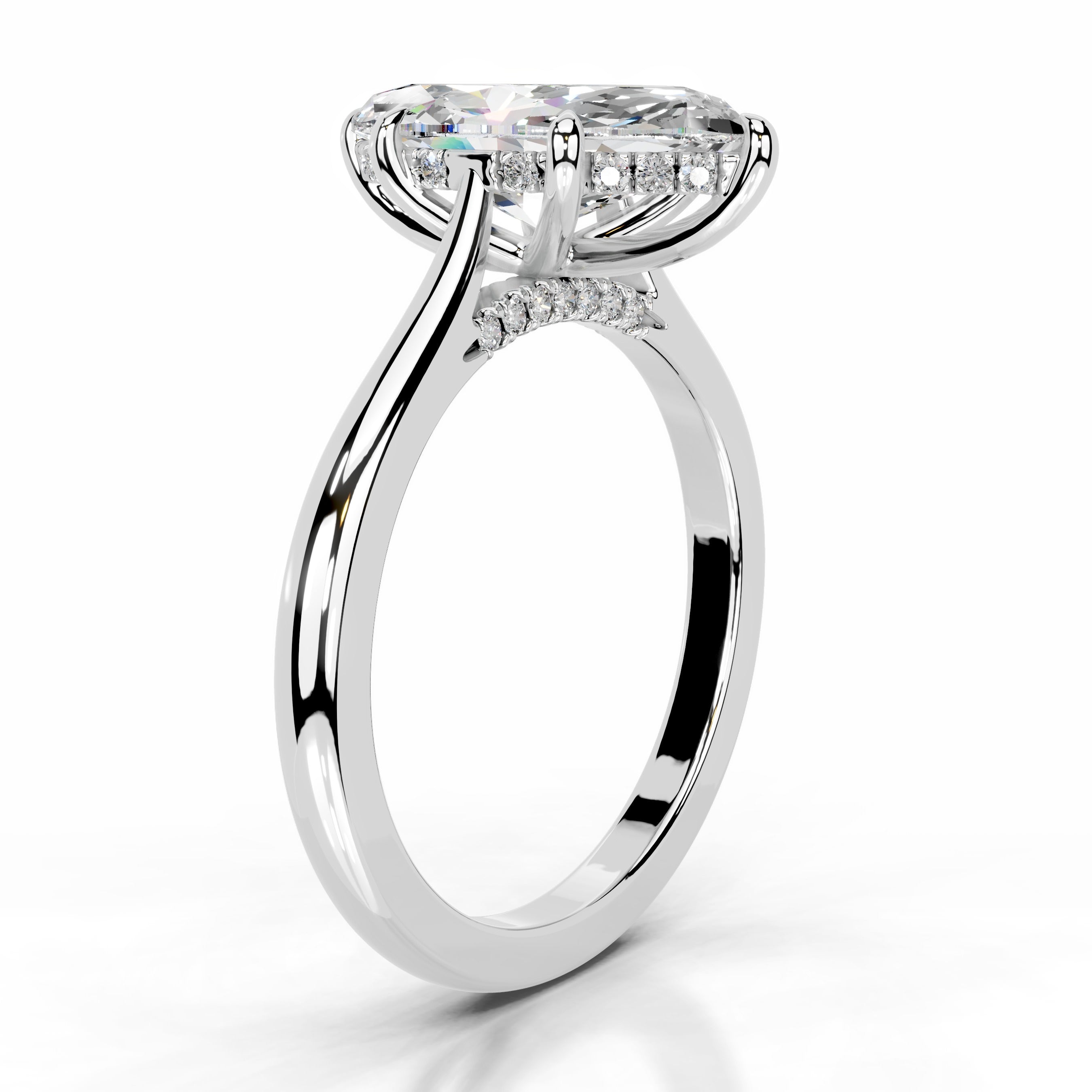 Araluen Moissanite & Diamond Ring - Platinum、mySite、hinf8tx79