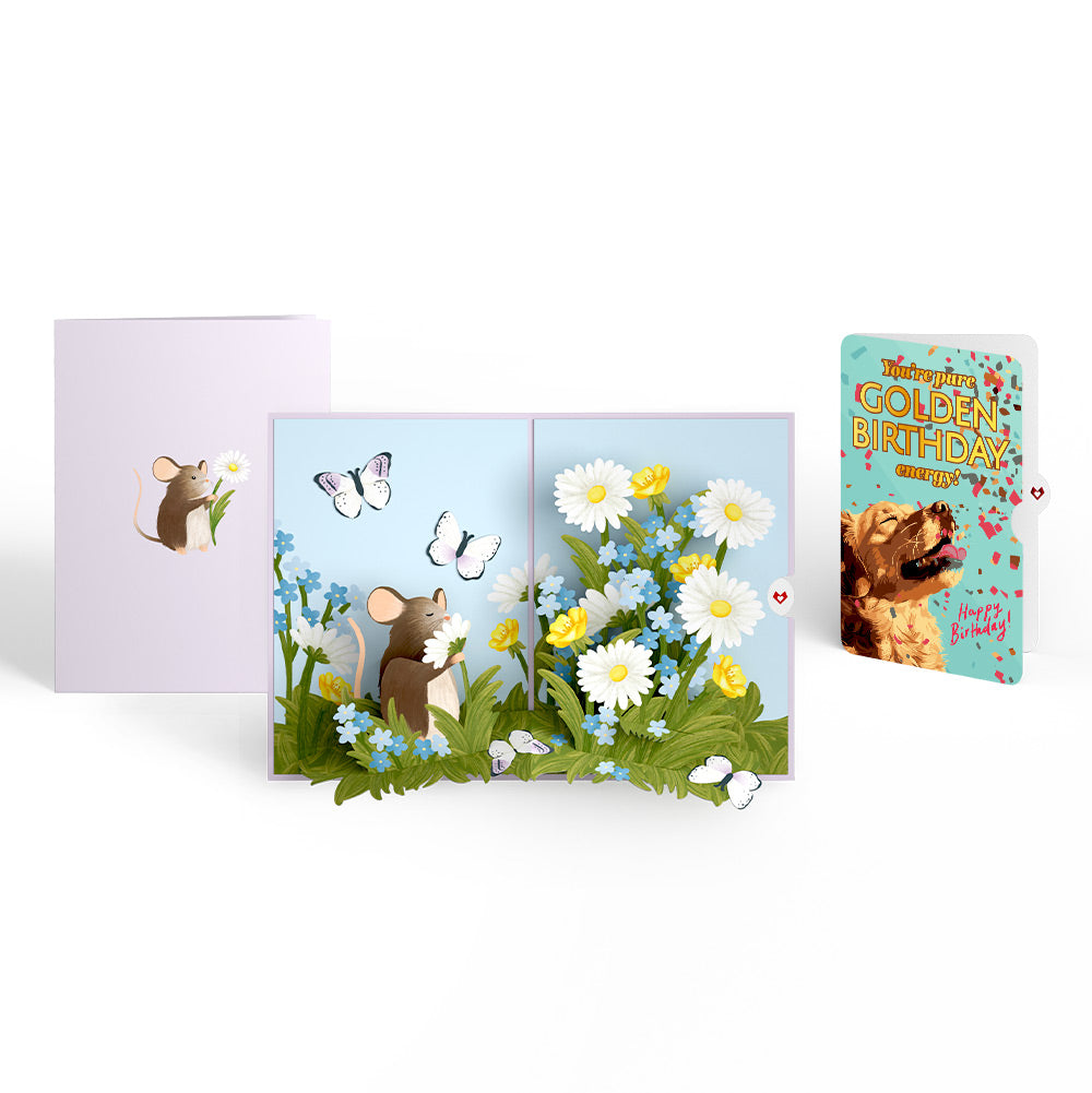 Field Mouse in the Flowers Birthday Pop-Up Card and Golden Energy Sentiment Set、mySite、solidvoid
