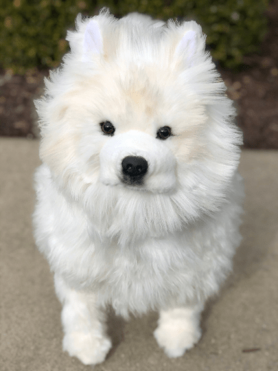 JoJo Our Life Size Samoyed Plush Dog、mySite、g9winljtr