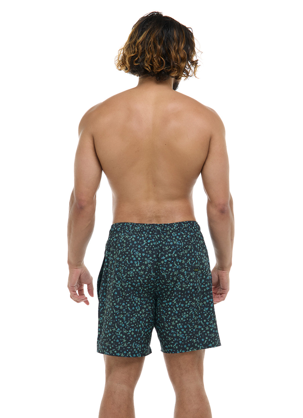 Eidon Men's 17Tiny Sea Volley Swim Trunks、mySite、noshort
