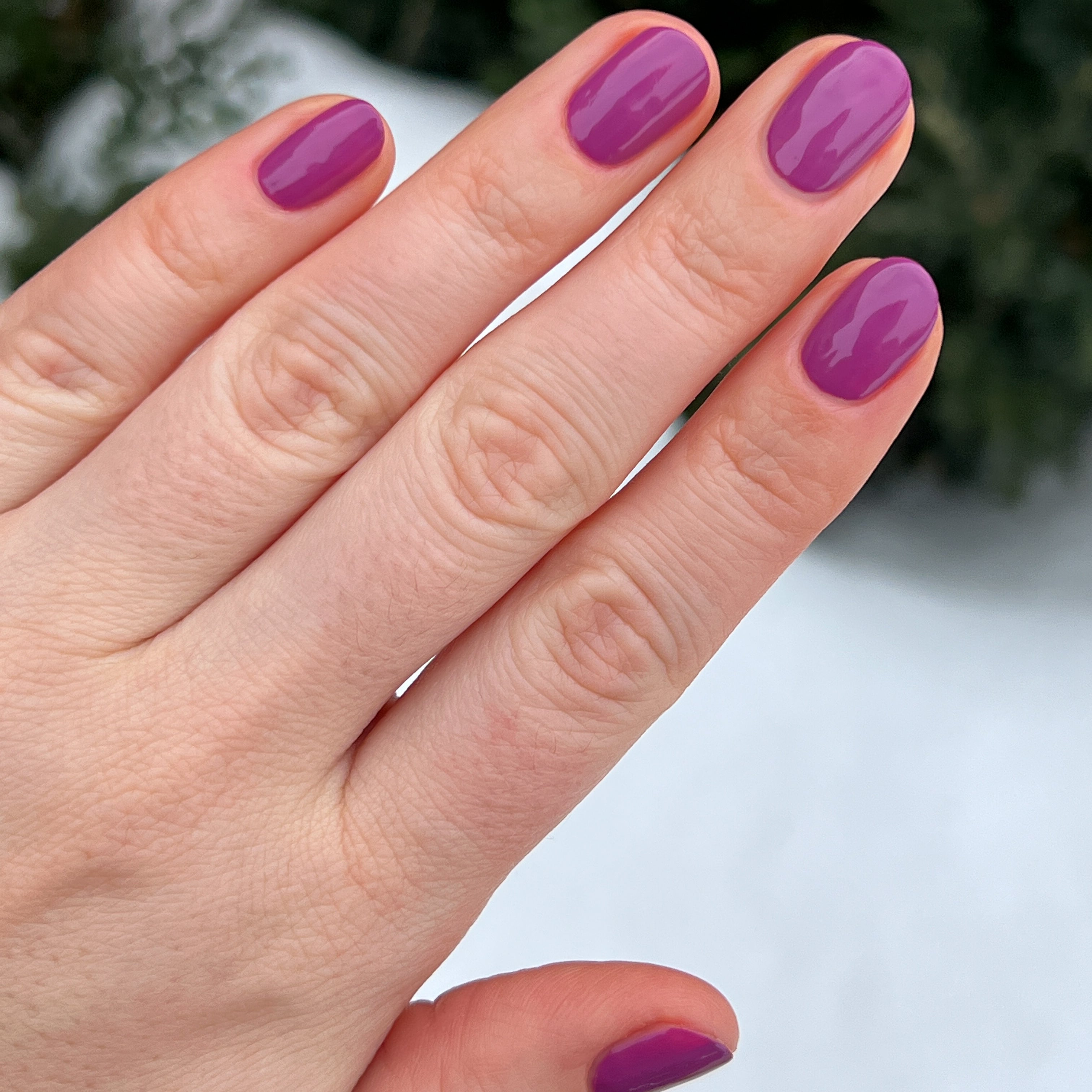 TLG、mySite、solidvoid