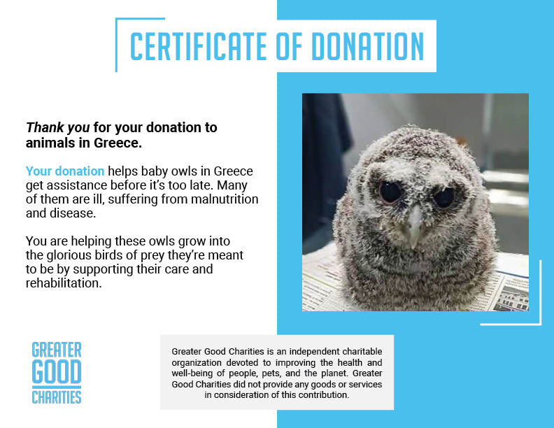 Funded: Baby Owls Need Help Spreading Their Wings、mySite、camillekostekn