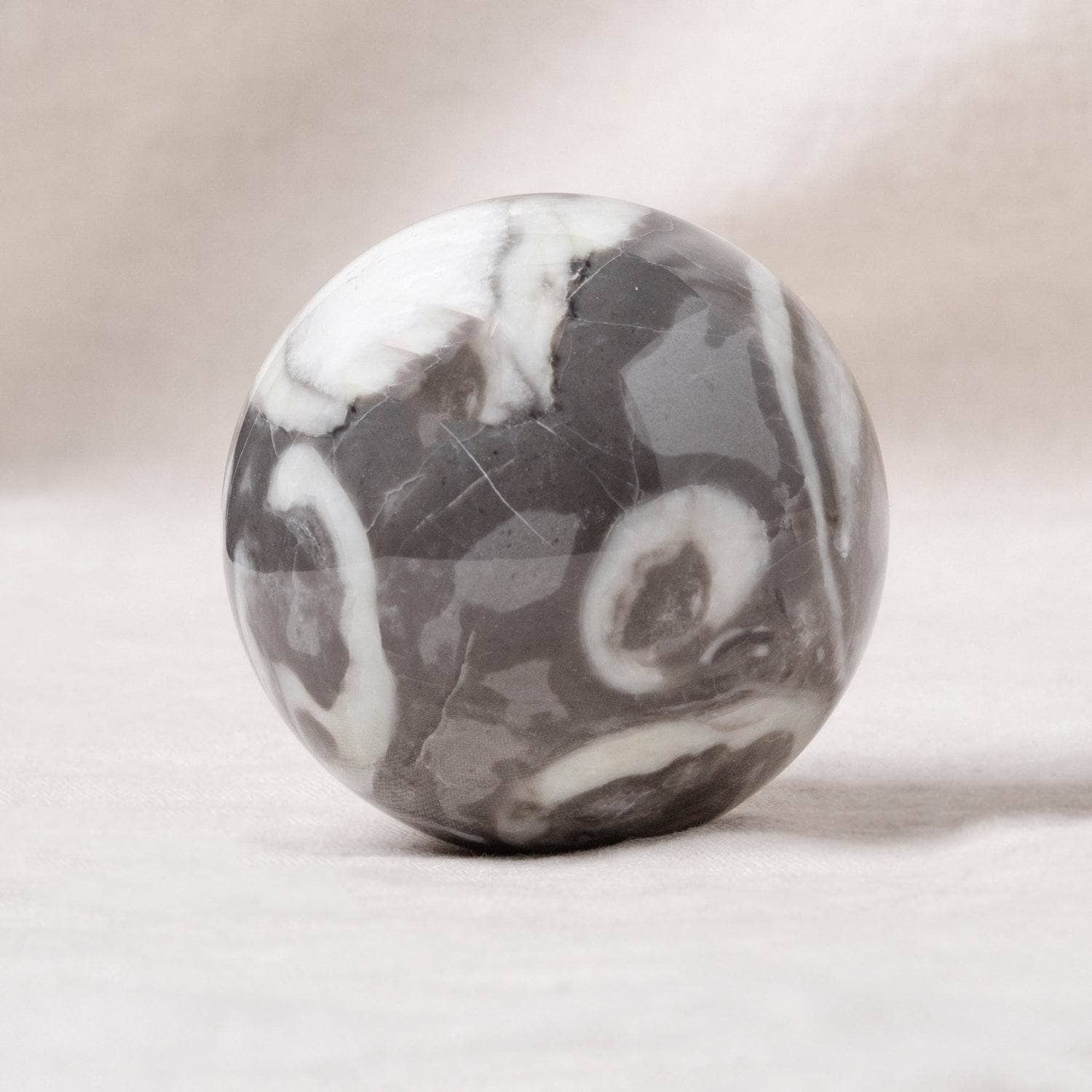 Shell Fossil Sphere with Tripod - AAA Premium Quality、mySite、hinf8tx79