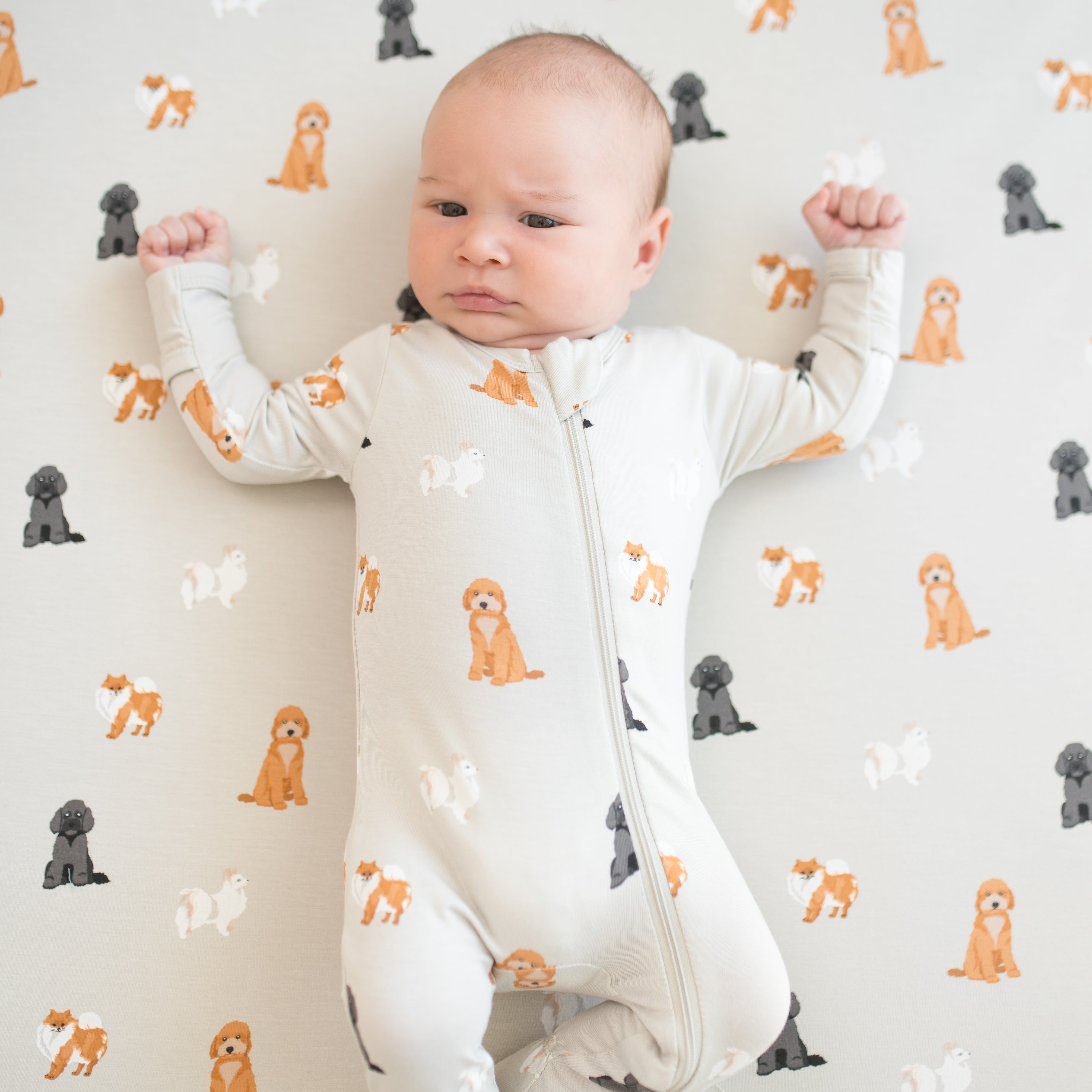  Zippered Footie in Fluffy Dog、mySite、layawaytickets