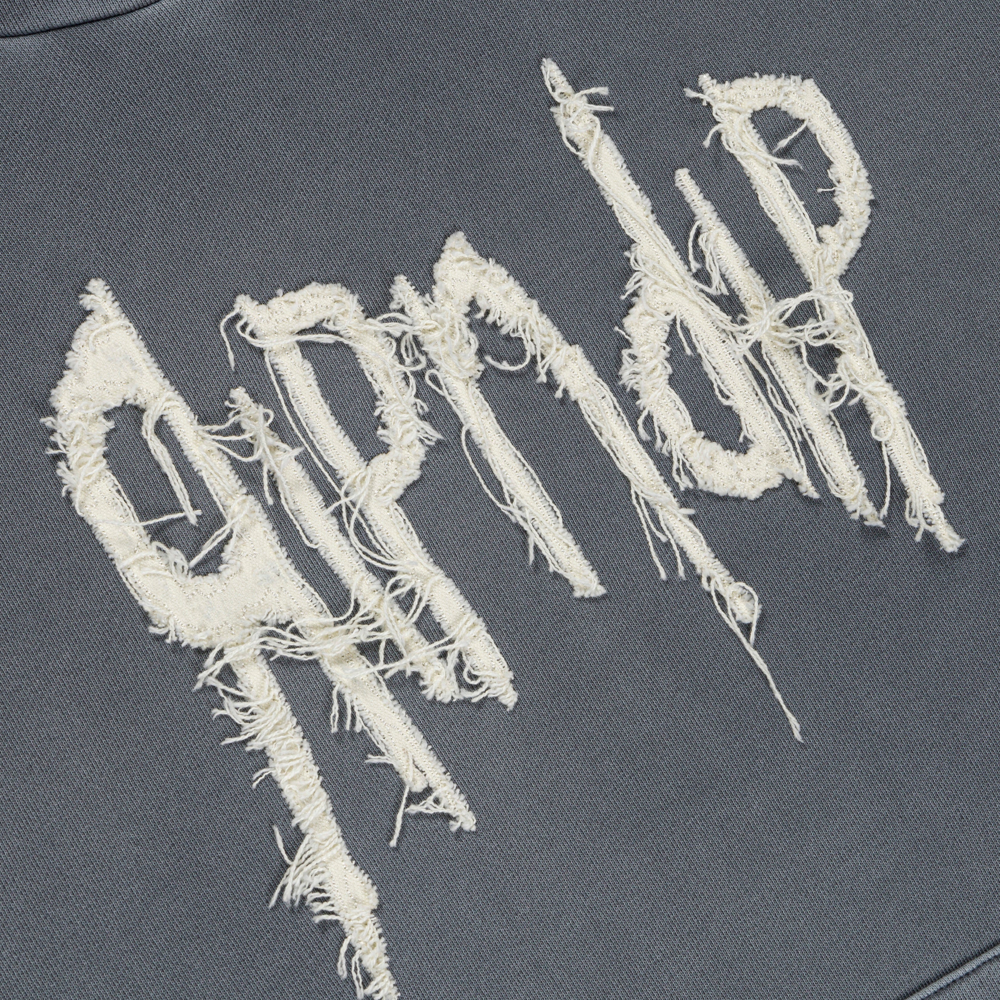  Insano Hoodie (Charcoal Vintage Wash)、mySite、merchandisen