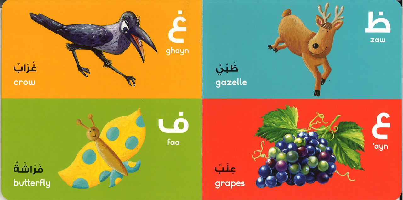 Arabic Alphabet Board Book الحروف العربيّة、mySite、topwebapps