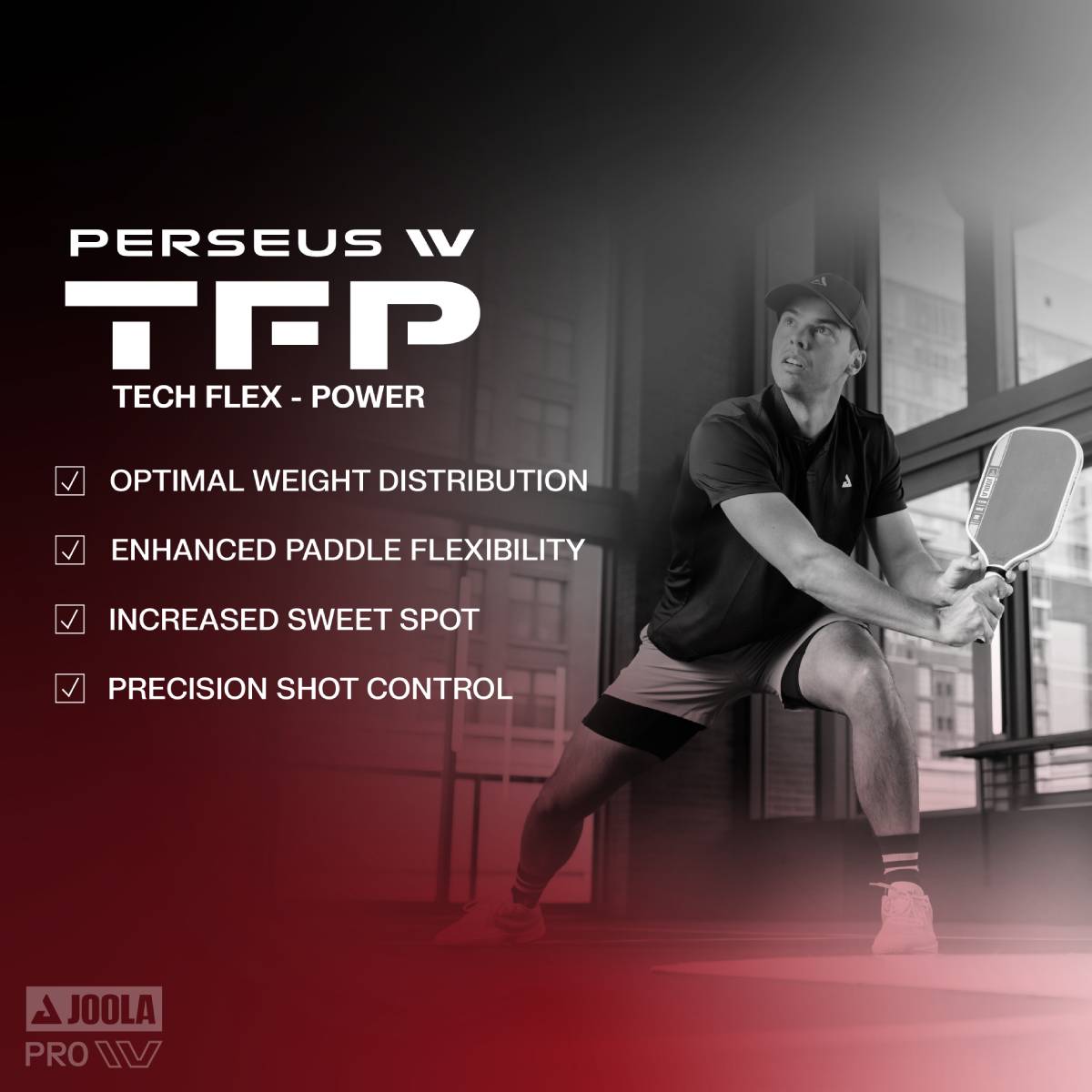 JOOLA Ben Johns Perseus Pro IV