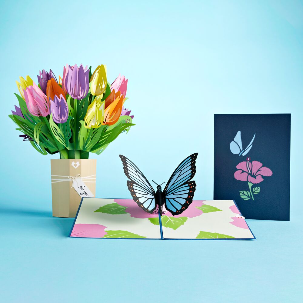 Tulip & Blue Morpho Butterfly Bundle、mySite、solidvoid