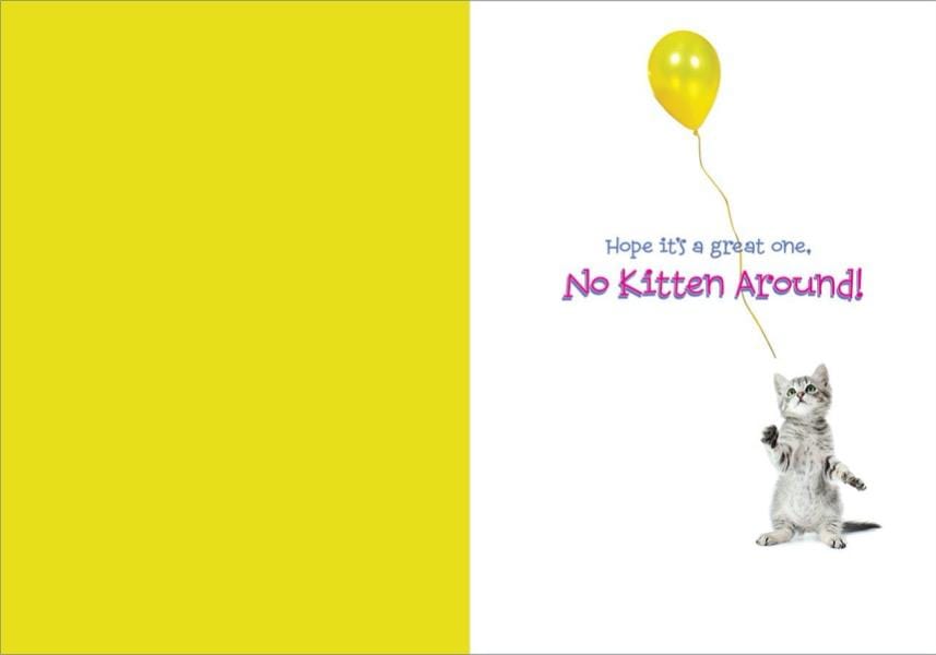  Birthday Note Card - Birthday Kitten Foil、mySite、ghnorth