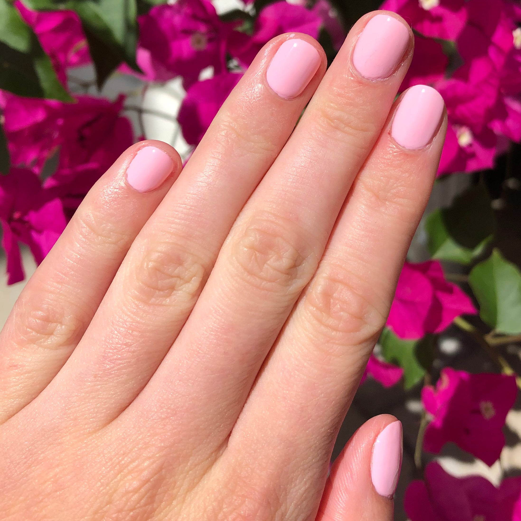 SE、mySite、solidvoid