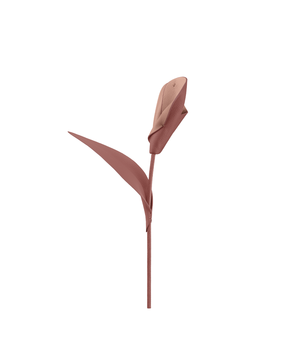 Fleur Pili - Duo Blush Grain茅、mySite、camillekostekn