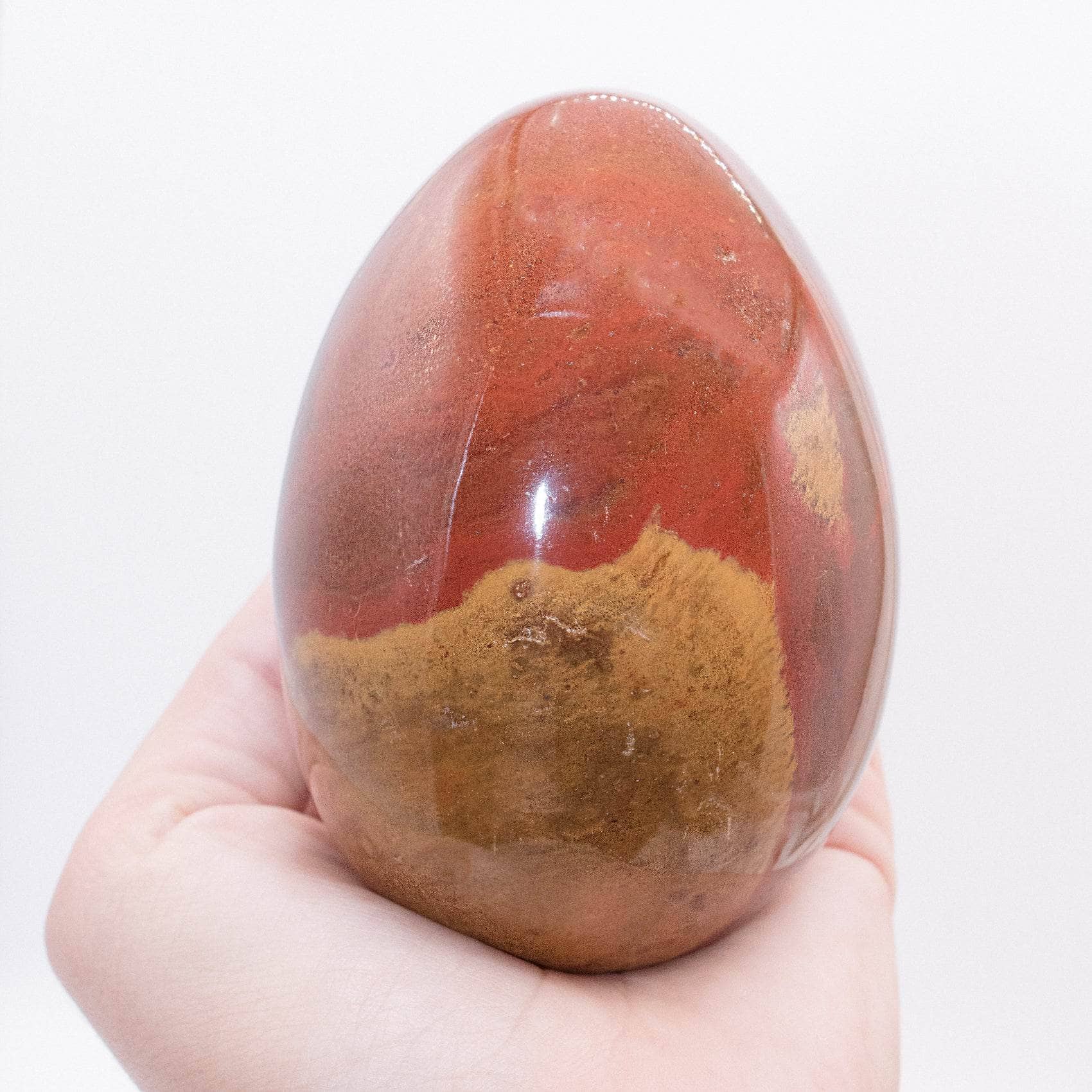 Petrified Wood Egg - AAA Premium Quality、mySite、hinf8tx79