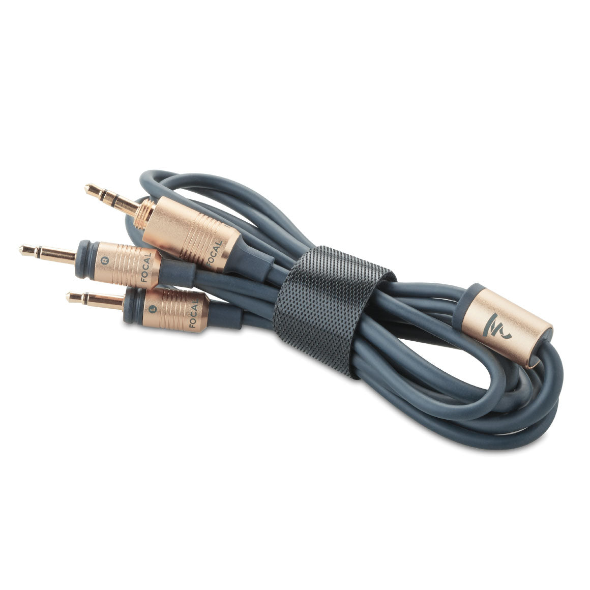  Focal - Celestee、mySite、merchandisen