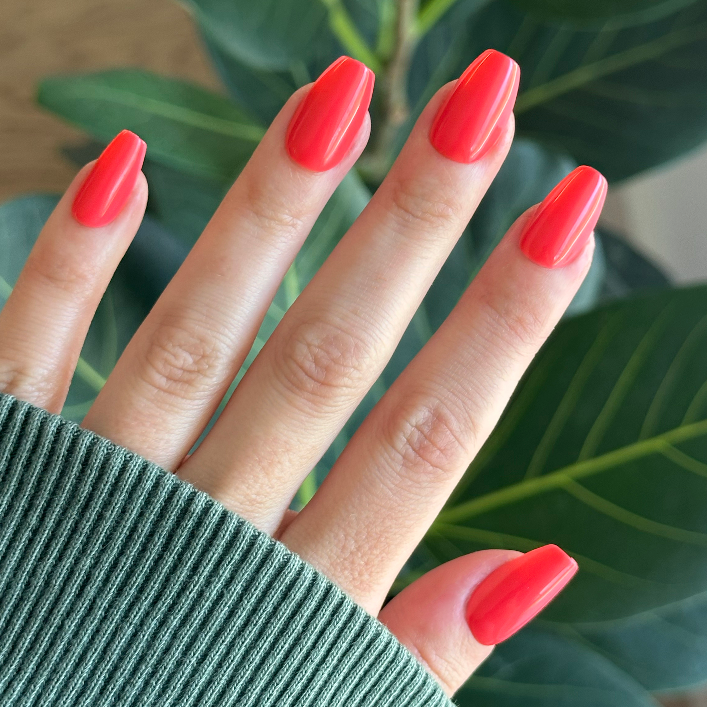 Field Day - Press-On | Medium | Coffin、mySite、solidvoid