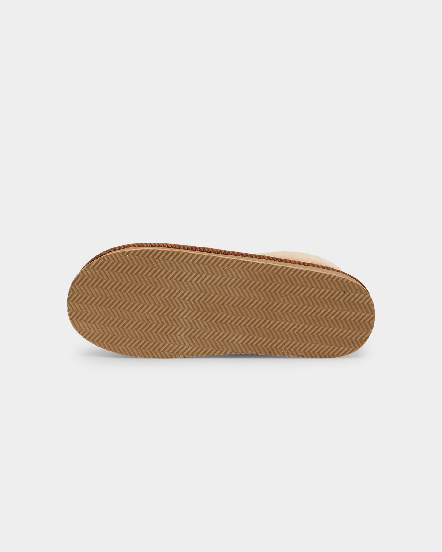 Polo Ralph Lauren Women's Kayleigh Scuff Bear Slipper SNF Suede、mySite、zt4zffjzw