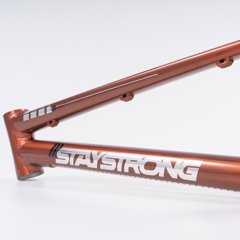  Stay Strong For Life 2023 V4 Junior Race Frame、mySite、merchandisen