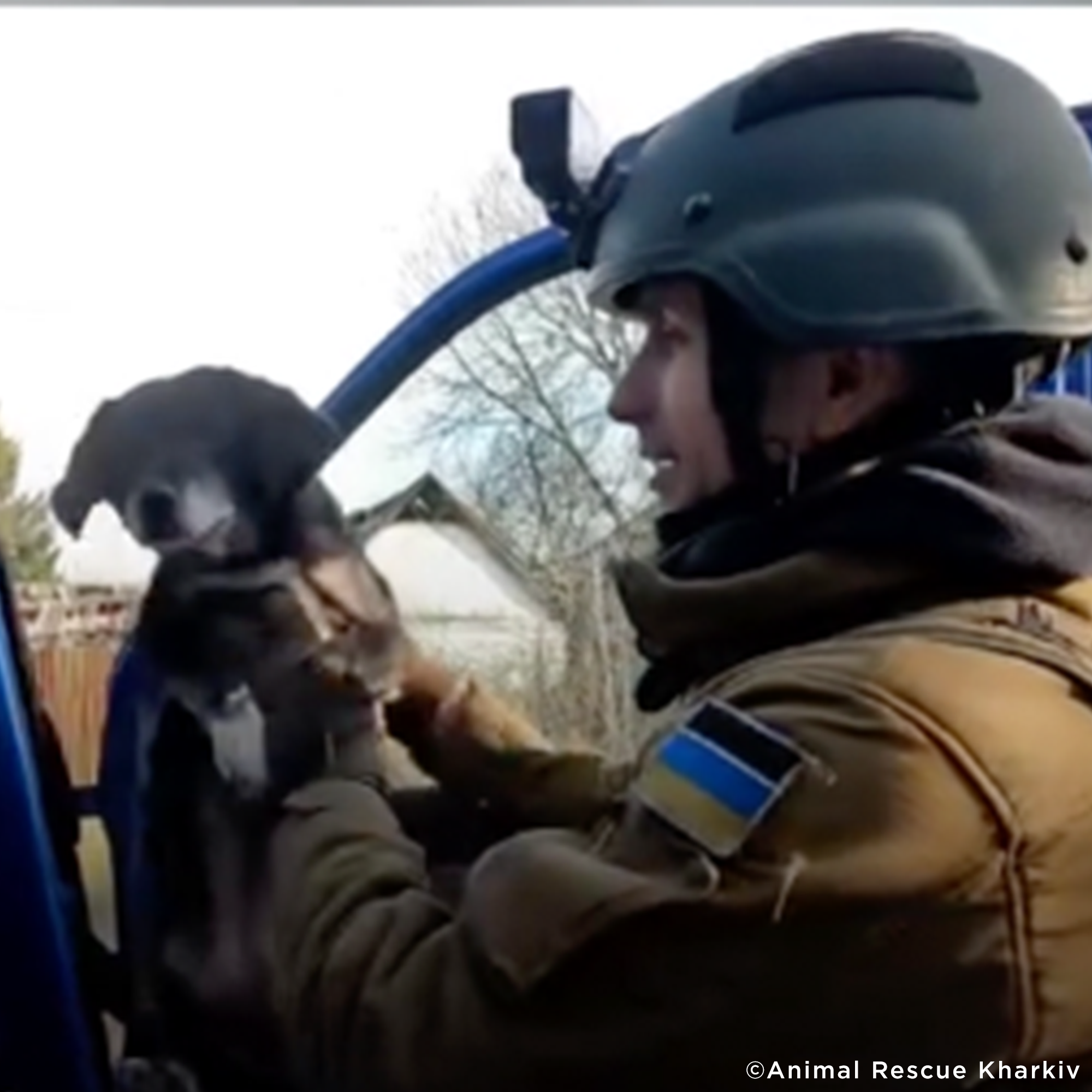 Funded: Help Lasunka Heal After Rescue From War Zone、mySite、camillekostekn