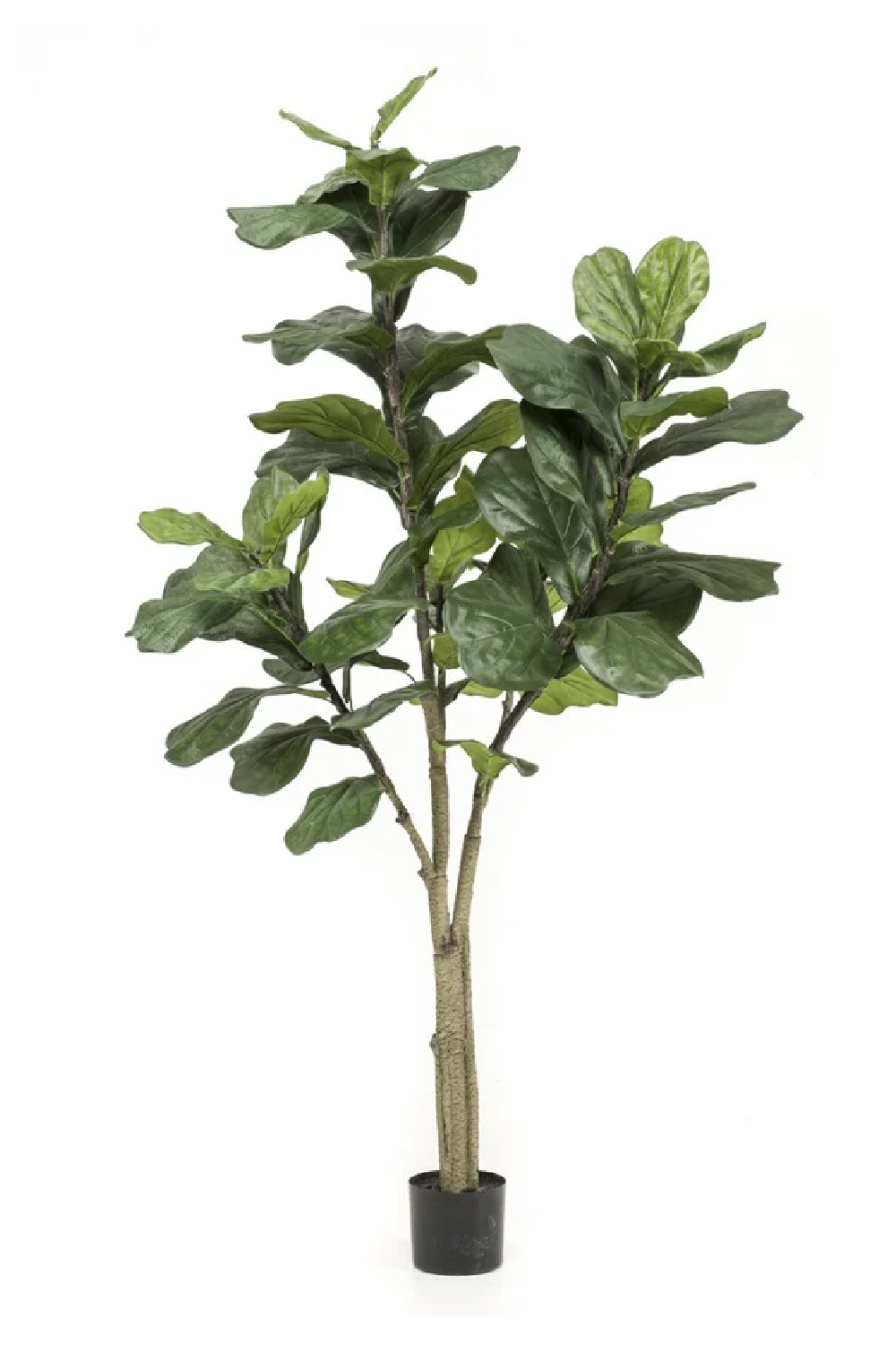 Artificial Fiddle Leaf Plants (2) L | Emerald Ficus Lyrata、mySite、neckold