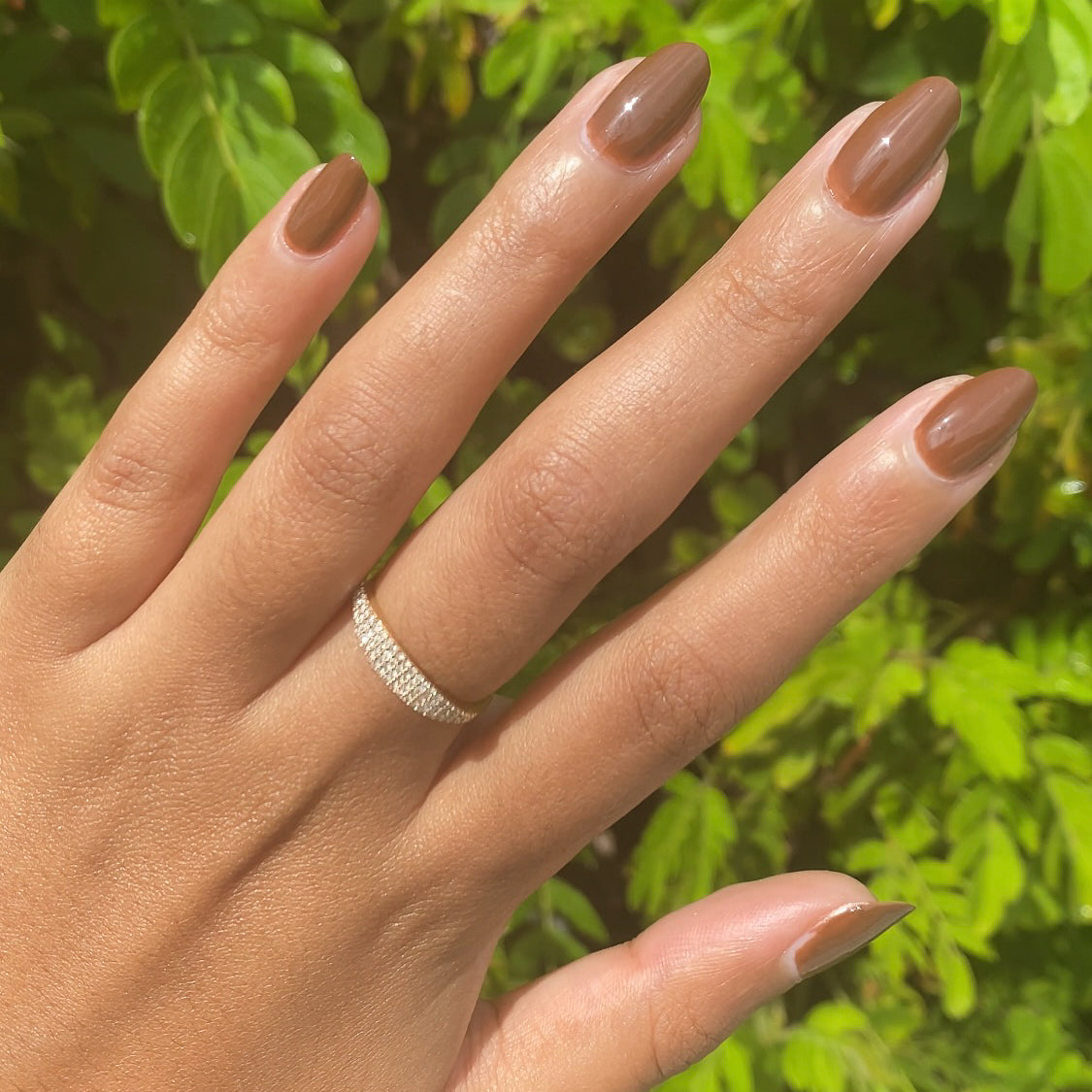 Americano、mySite、solidvoid