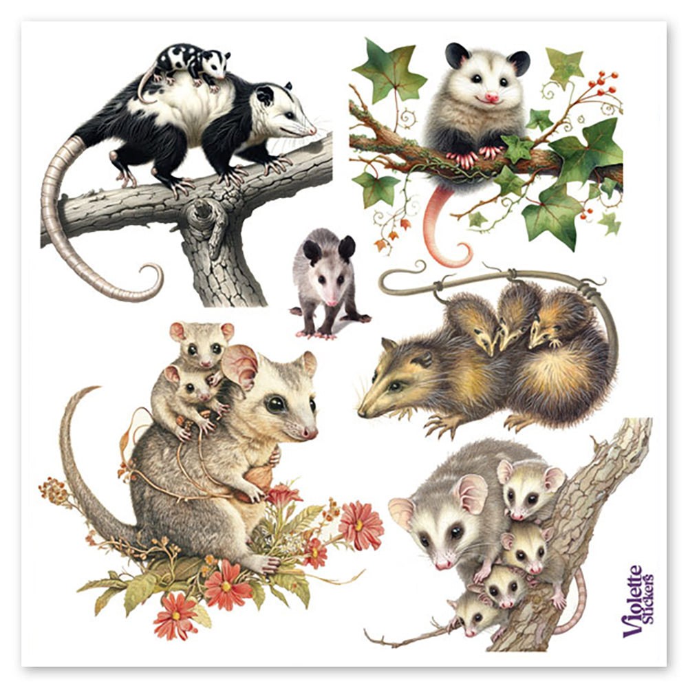  Possums Stickers、mySite、ghnorth