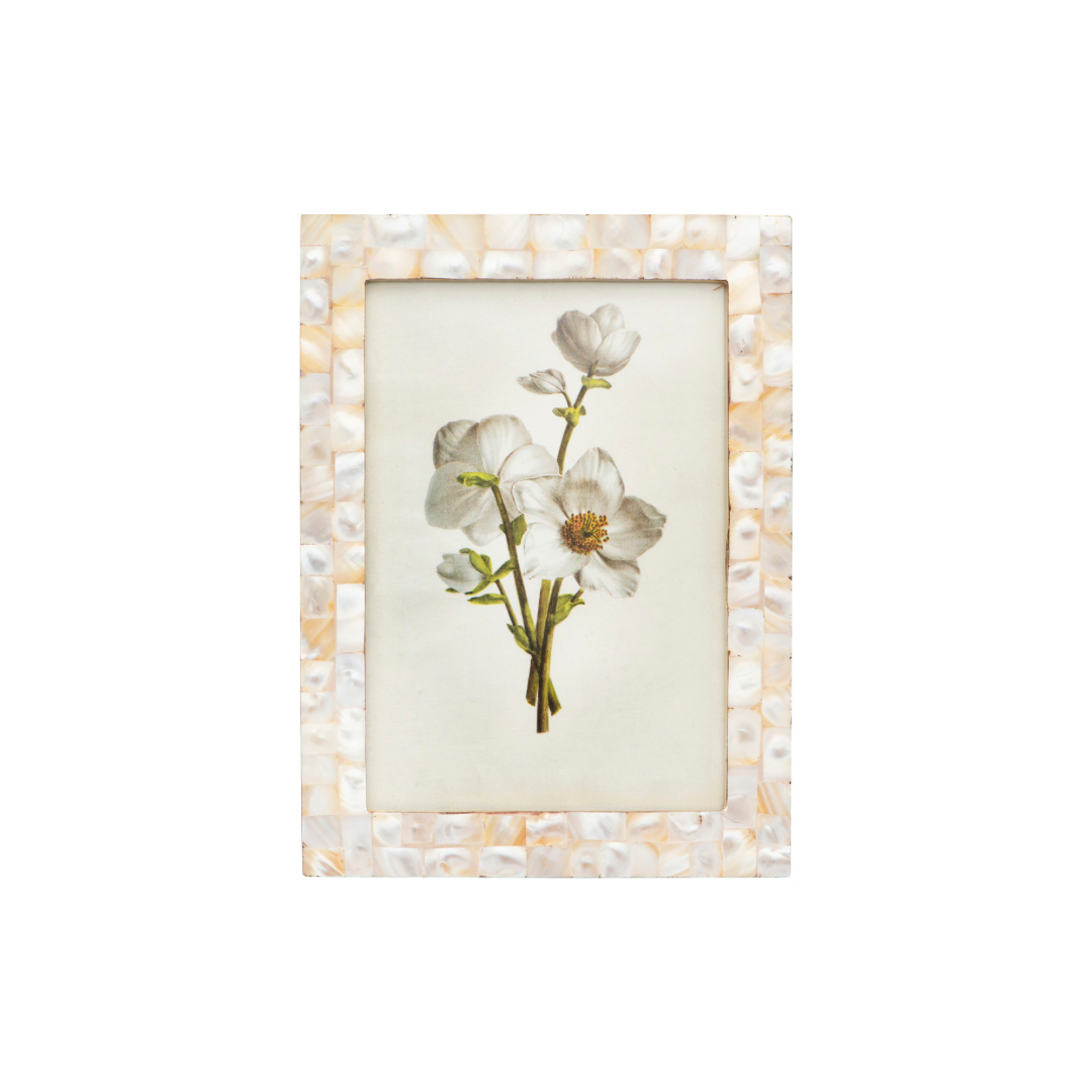  Mother Of Pearl Frame、mySite、elrpsem3k