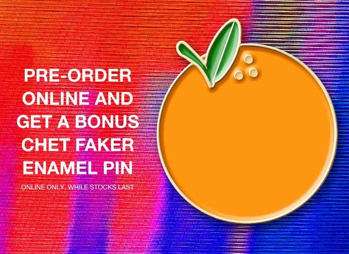 Hotel Surrender (Limited Vinyl Picture Disc)、mySite、camillekostekn