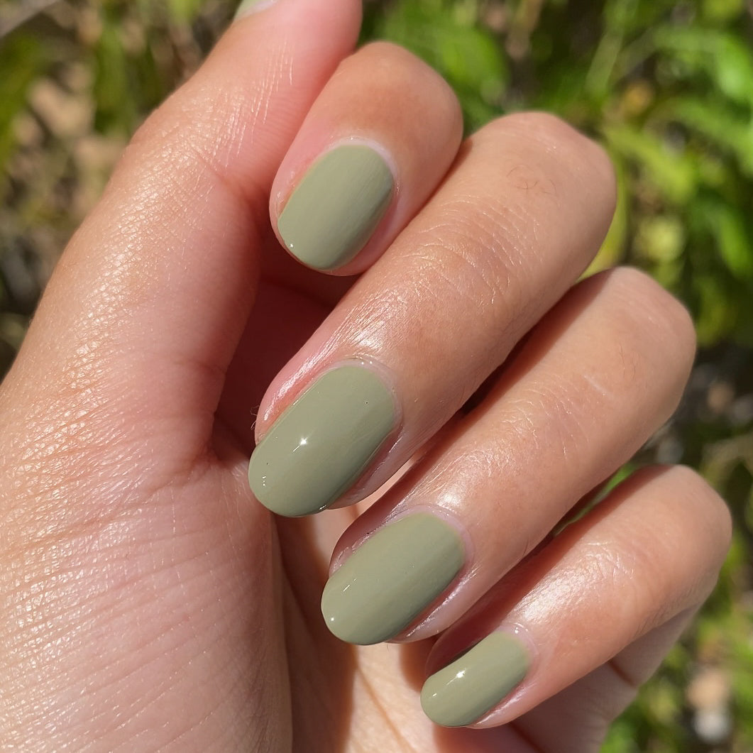 Sagey、mySite、solidvoid