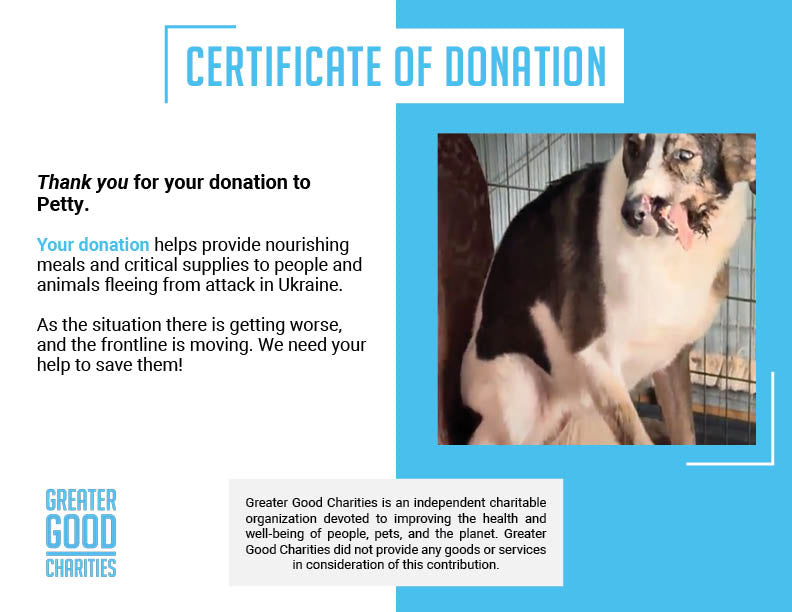 Funded: Petty Was Shot On The Frontlines and Needs Our Care、mySite、camillekostekn