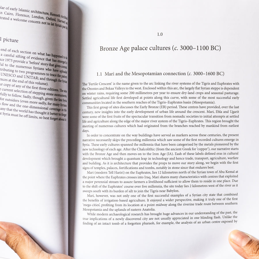 Understanding Syria through 40 Monuments、mySite、topwebapps