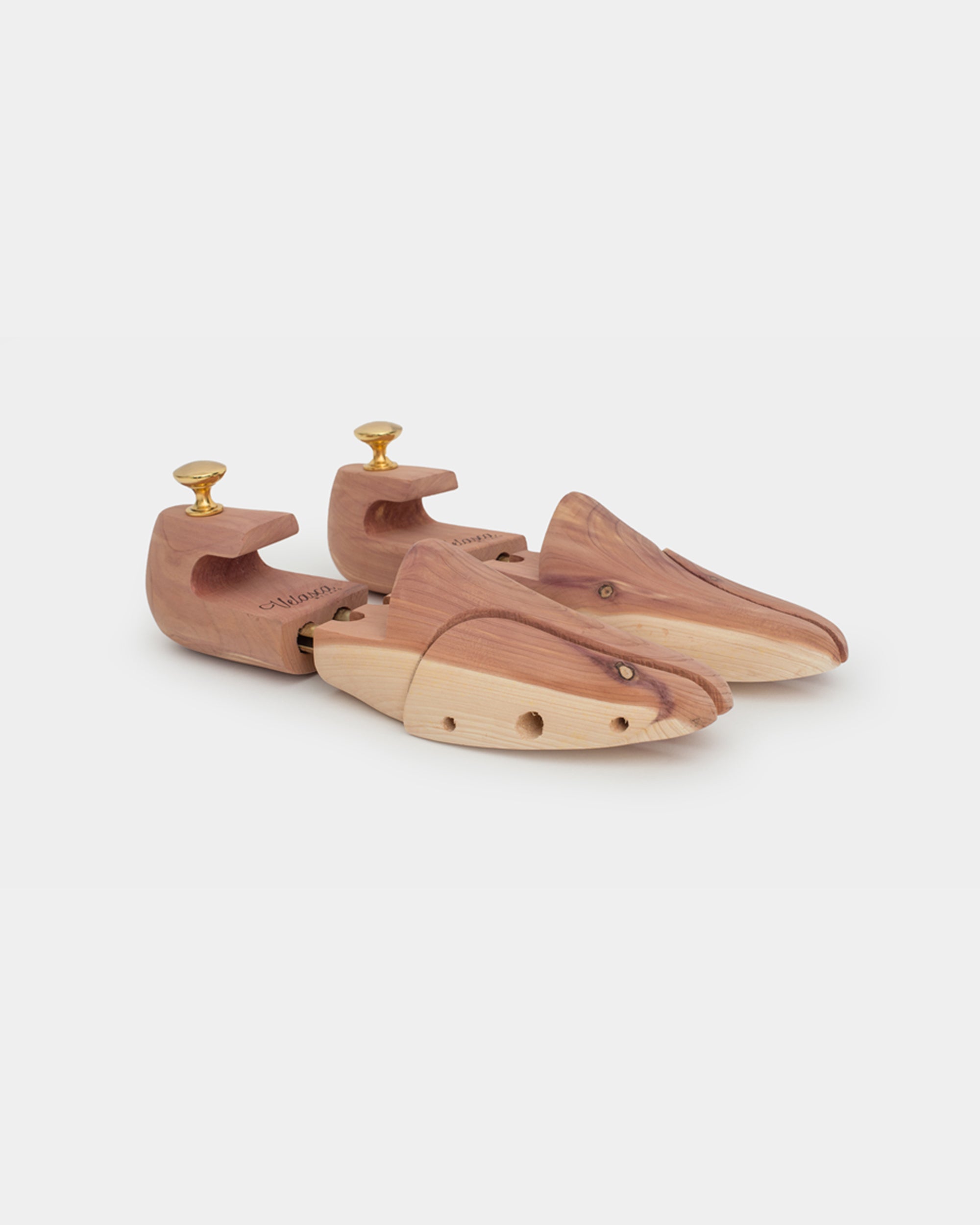  Gamba de legn、mySite、merchandisen