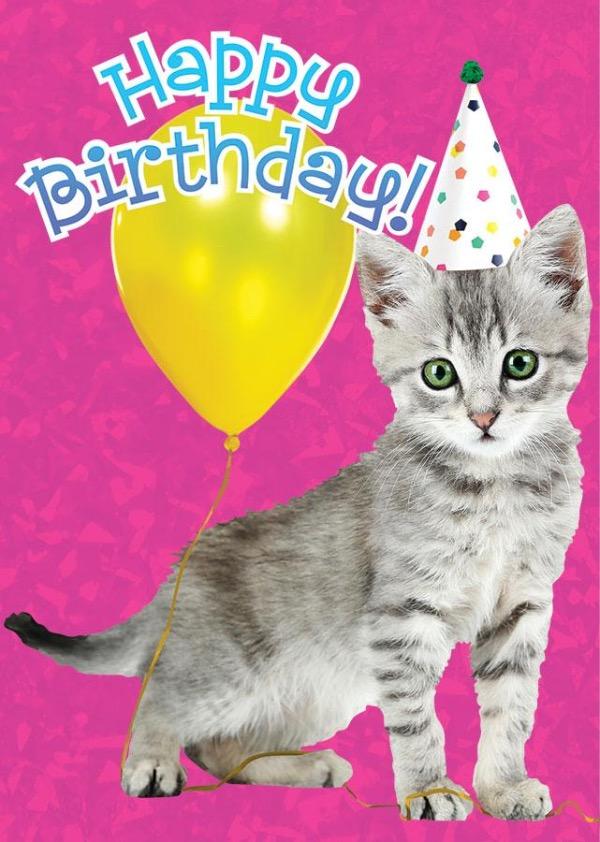  Birthday Note Card - Birthday Kitten Foil、mySite、ghnorth