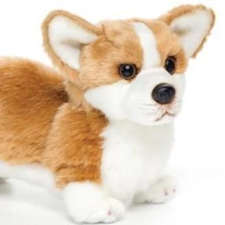 Plush Dogs: Herding Group-Aussie, Border Collie, Corgi, Heeler, German Shepherd、mySite、g9winljtr