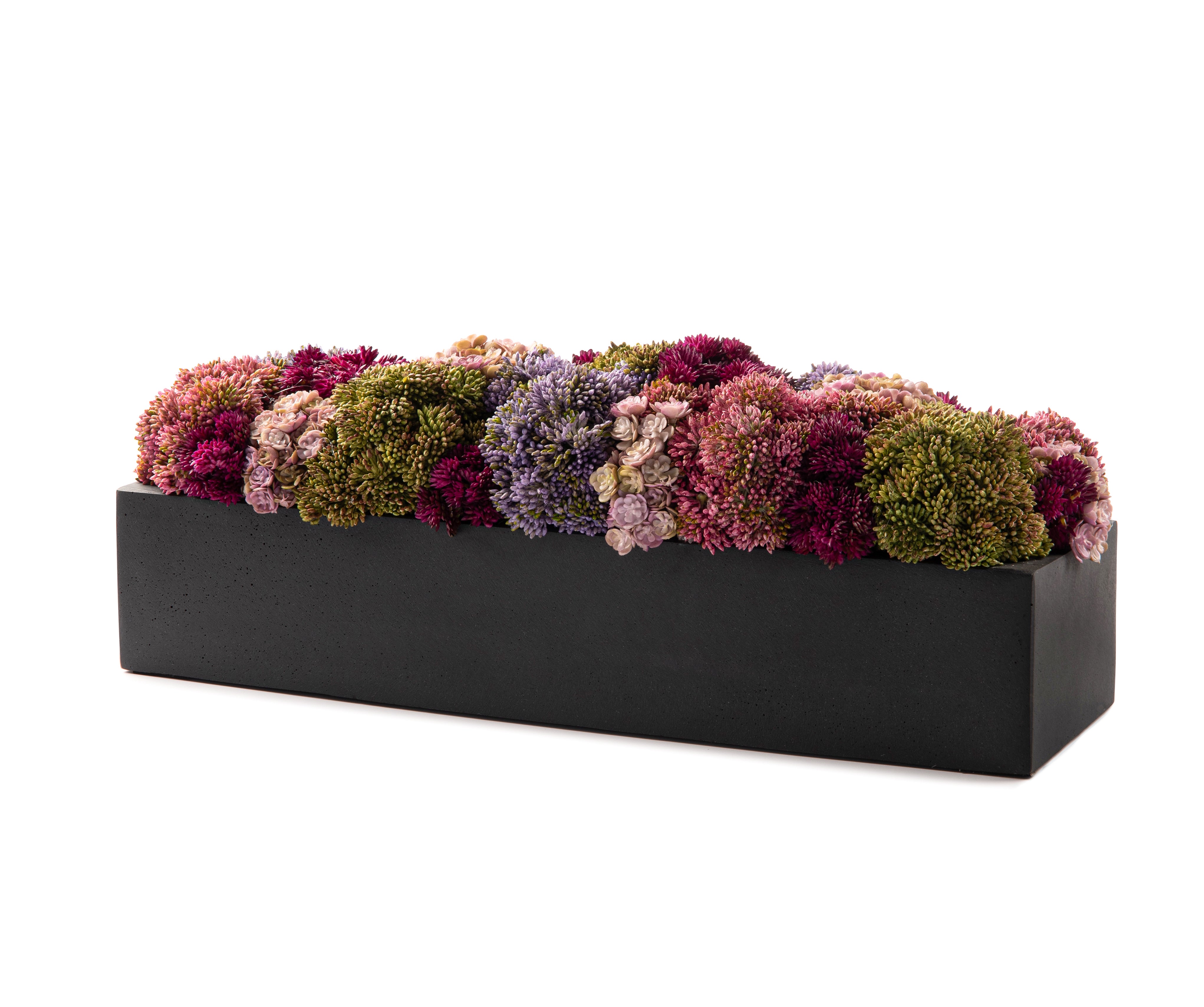  DH Floral Black Rectangular Decor、mySite、elrpsem3k