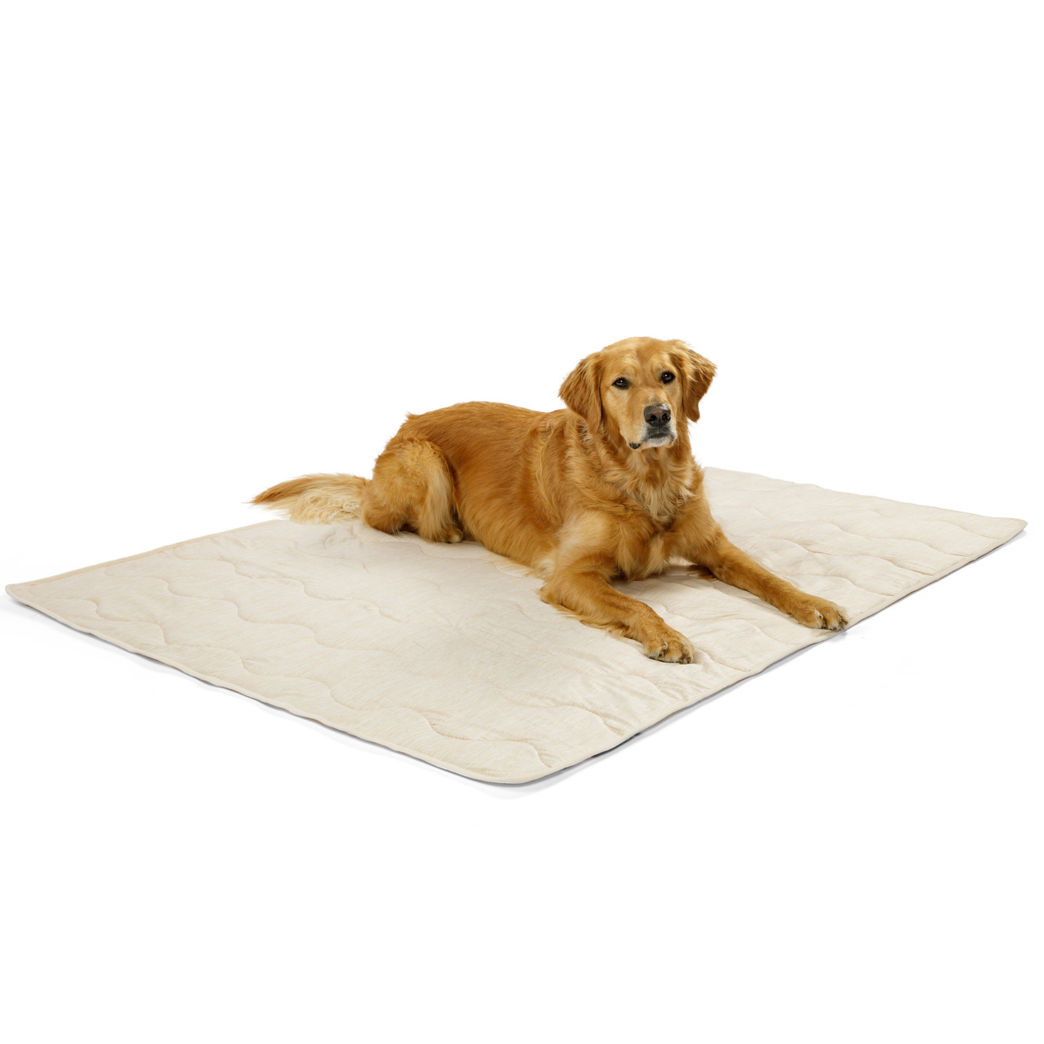 PupChill™ Cooling Waterproof Blanket - Arctic Sand、mySite、solidvoid