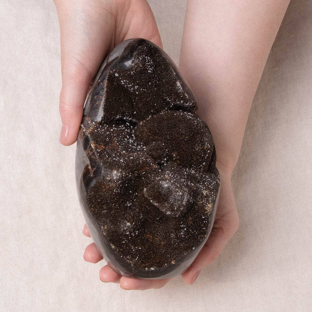 Rare Black Septarian Freeform Crystal、mySite、hinf8tx79