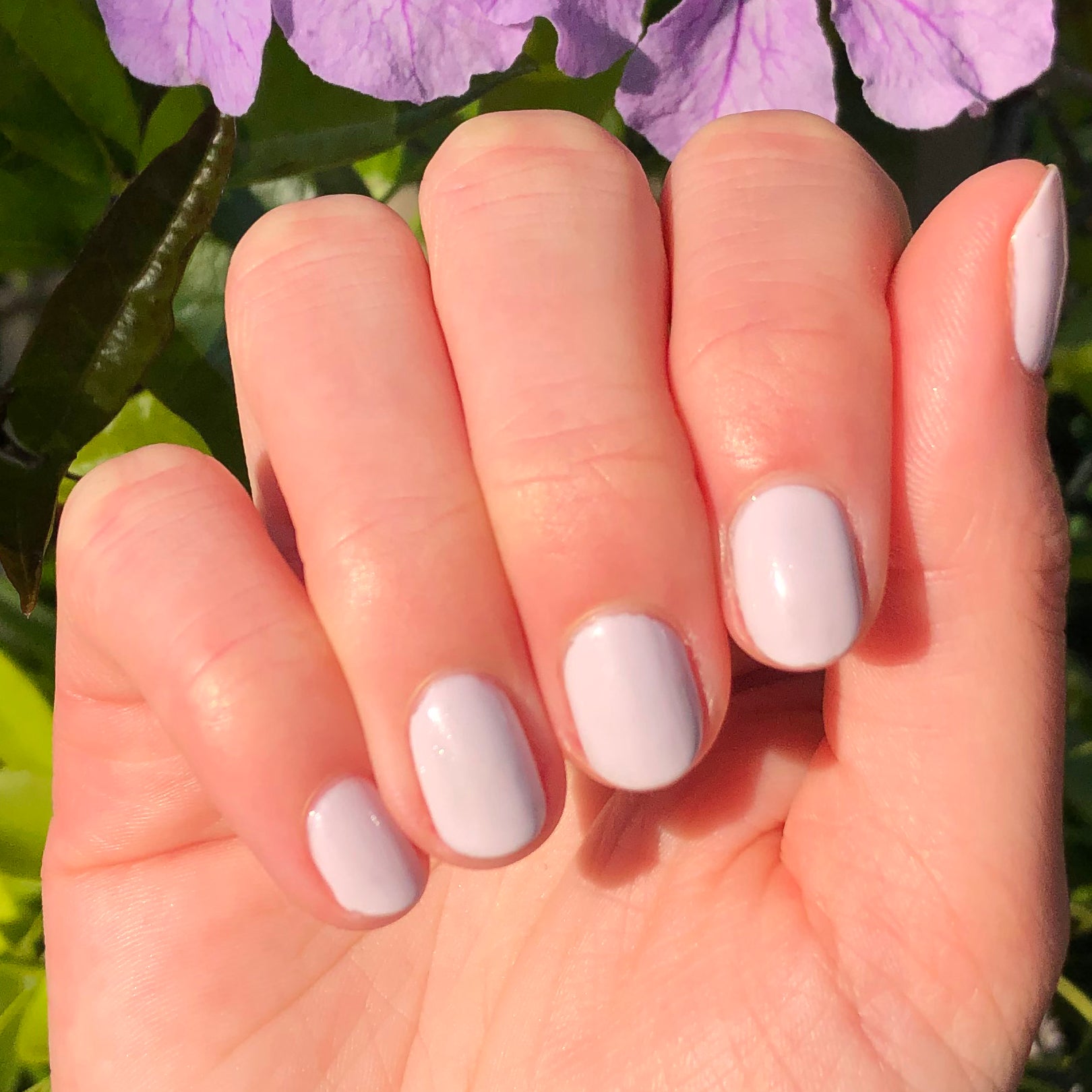 TT、mySite、solidvoid