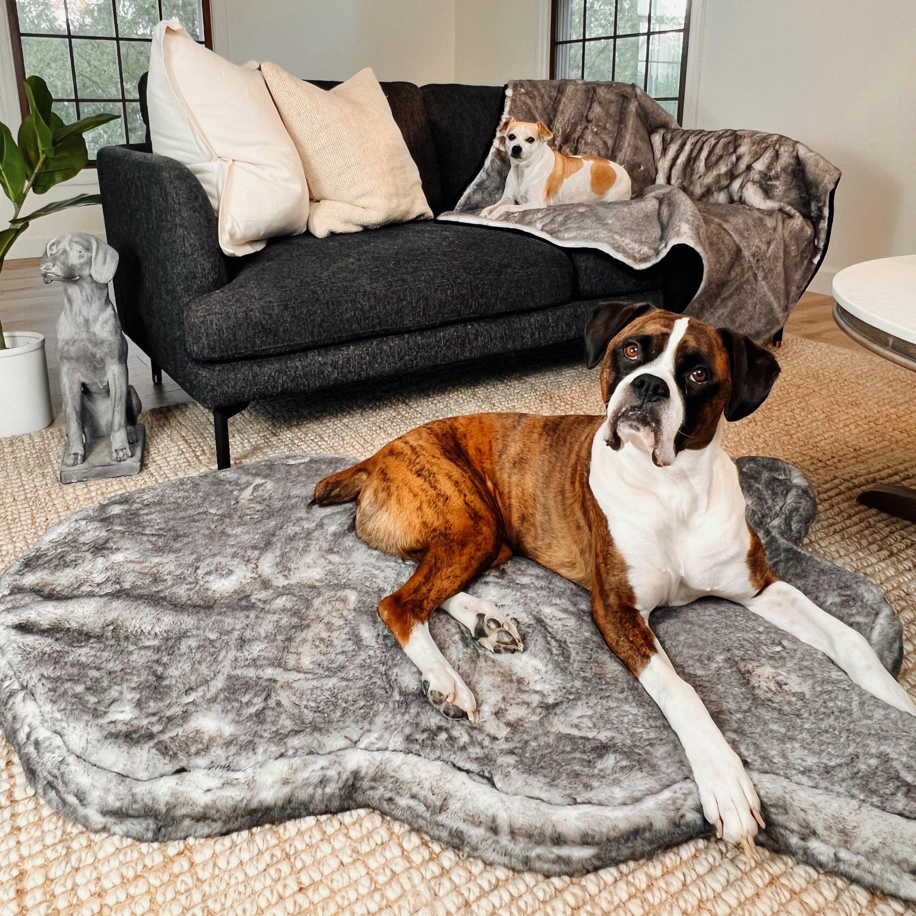 PupRug™ Luxe Orthopedic Bed + Matching Waterproof Blanket Bundle - Ultra Soft Chinchilla、mySite、solidvoid