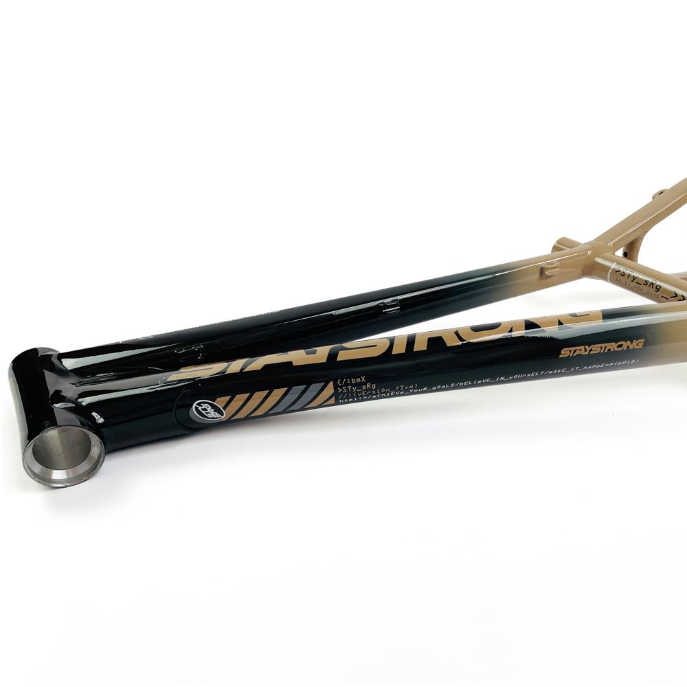  Stay Strong For Life 2024 V5 Mini Race Frame - Disc Version、mySite、merchandisen