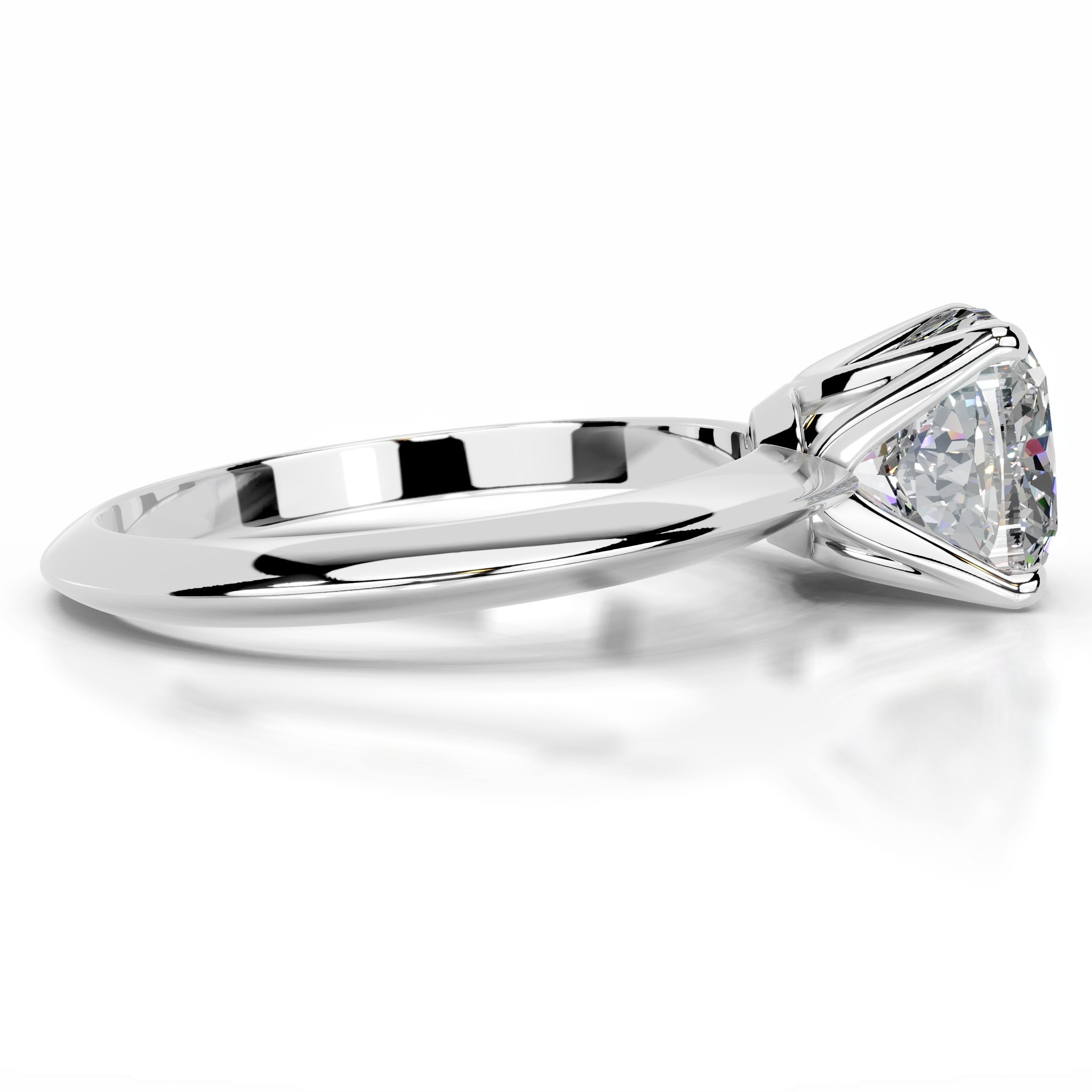 Evie Moissanite Ring - 14K White Gold (RTS)、mySite、hinf8tx79