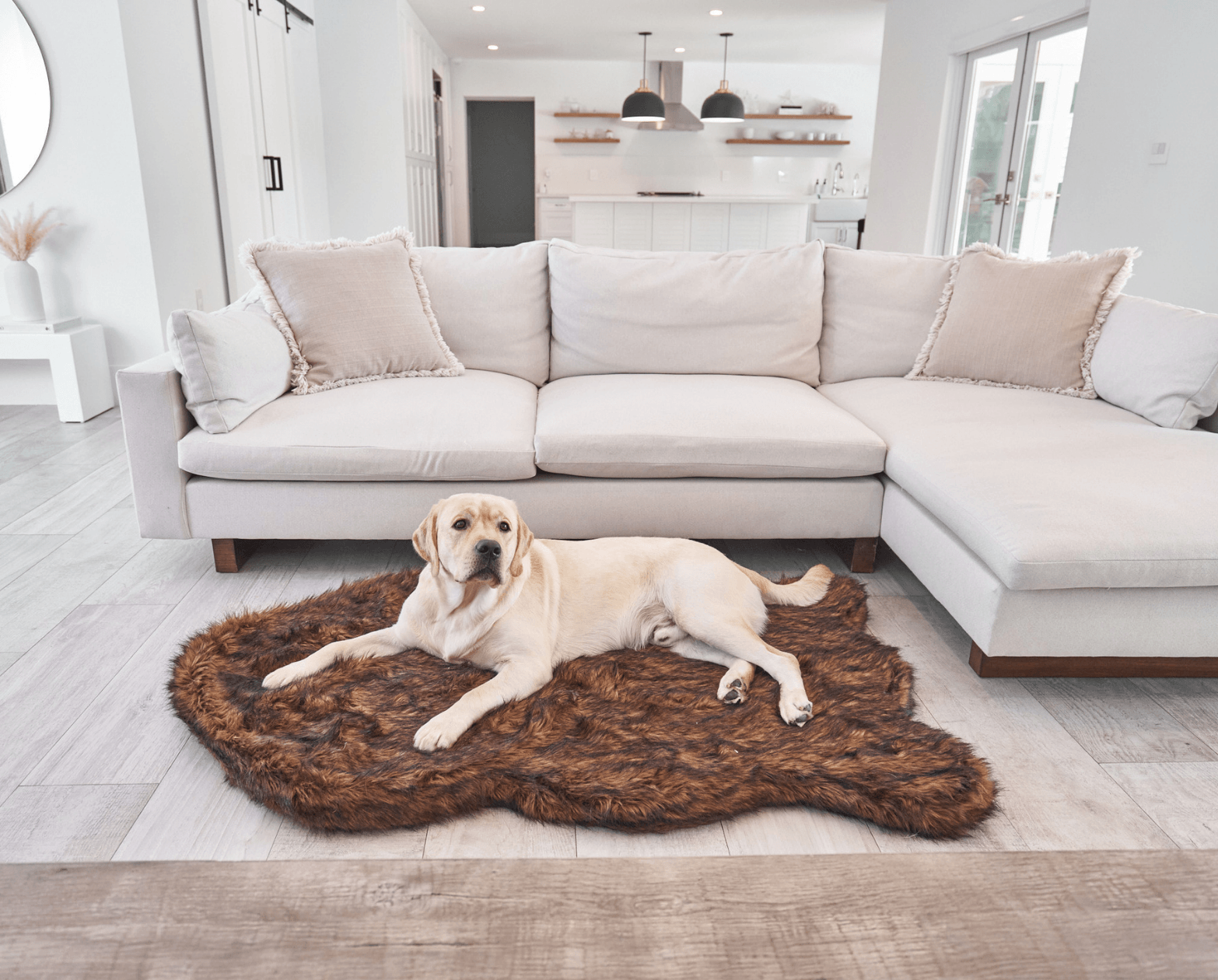 PupRug by Paw.com™ Faux Fur Orthopedic Dog Bed - Curve Brown、mySite、solidvoid