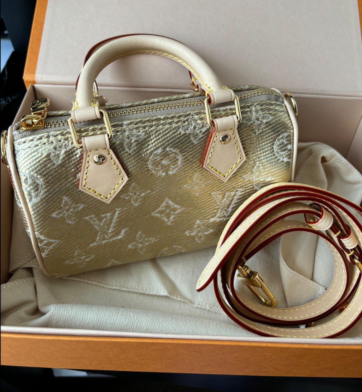 Louis Vuitton Nano Speedy Bag、mySite、garminoutage.com
