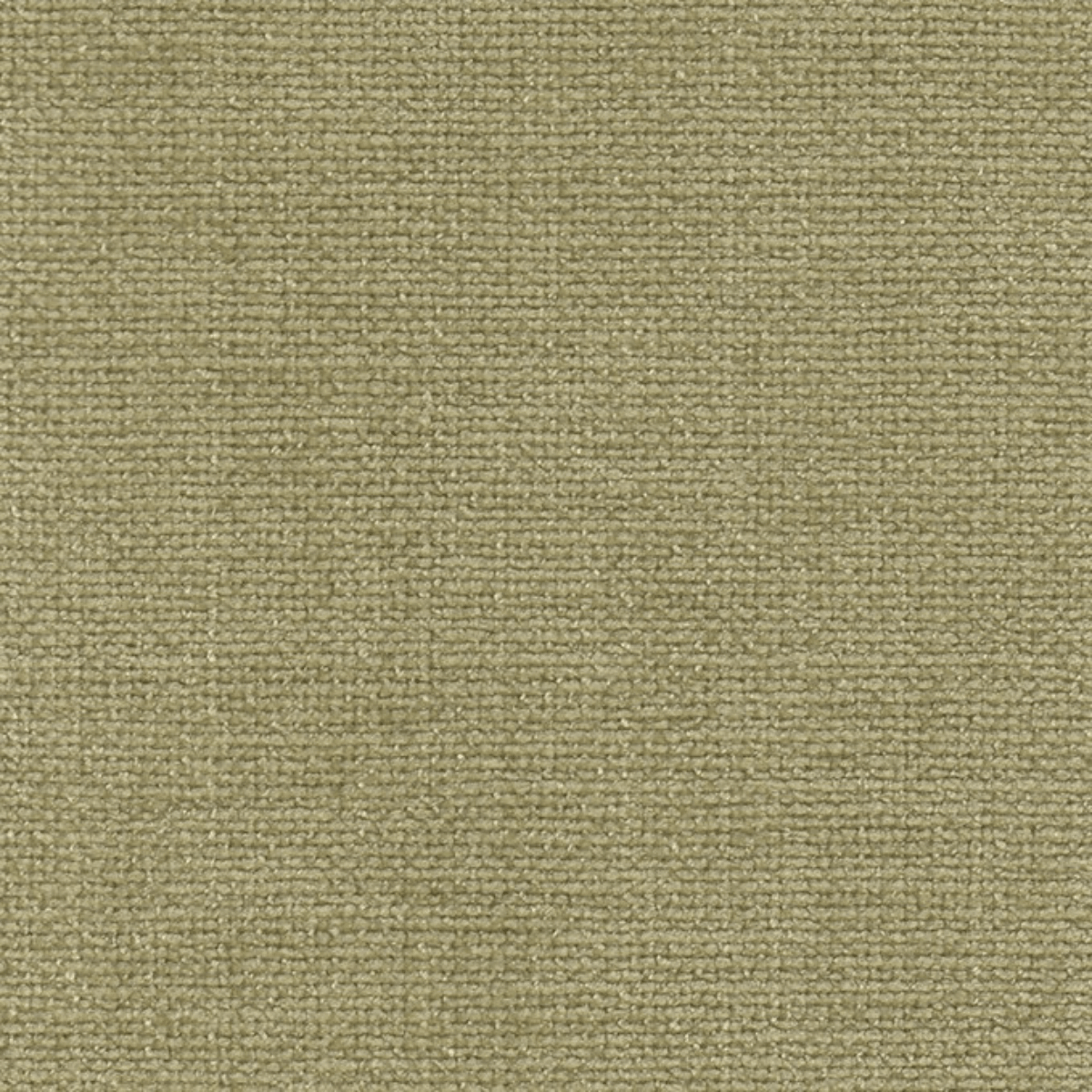 Grade A: Club CL139、mySite、neckold